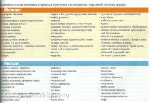 Сыр при кормлении новорожденного