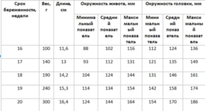 Окружность живота плода отстает на 2 недели