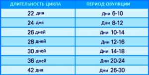 На какой день после начала месячных наступает овуляция