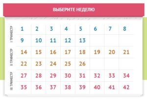 Календарь при беременности по неделям