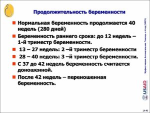 Сколько недель нормальный срок родов