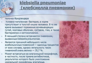 Klebsiella pneumoniae 10 в 3 степени в моче