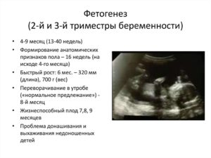 Признаки на 4 недели беременности