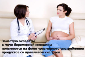 Оксалаты в моче беременной