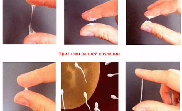 Толстушка с мохнатой промежностью теребит клитор пальчиками