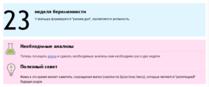 23 неделя беременности это сколько месяцев беременности