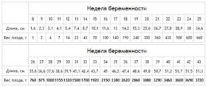 Параметры плода на 21 неделе беременности