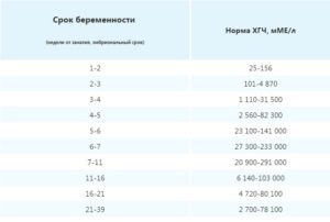 Хгч выше нормы на ранних сроках после эко