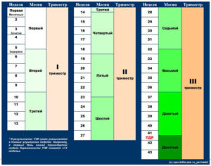 Сколько месяцев 37 недель беременности