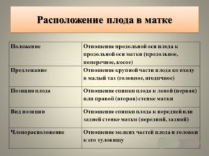 Позиции плода в матке