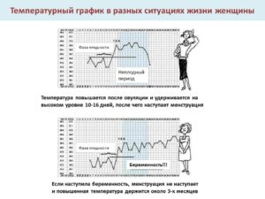 Температура тела при зачатии