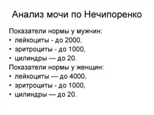 Что показывает анализ мочи по нечипоренко при беременности