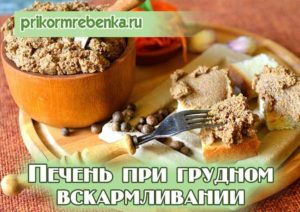 Печень при гв можно