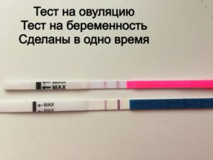 Как понять что ты беременна после овуляции