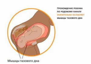 После родов мочевой пузырь слабый