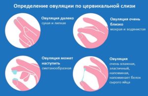 Самочувствие во время овуляции