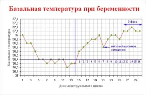 Температура тела при зачатии
