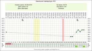 Овуляция на какой день при цикле 30 дней