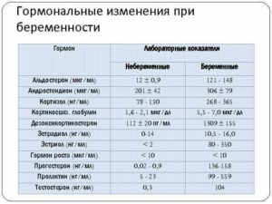 Андростендион при беременности норма