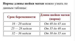 Норма длины шейки матки на 33 неделе беременности