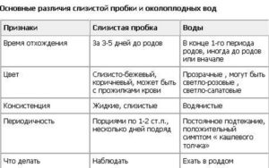 Если отошла пробка через сколько начнутся схватки
