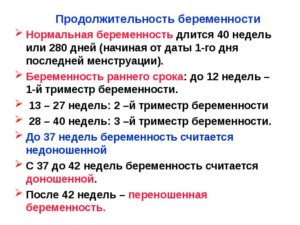 Сколько недель нормальный срок родов