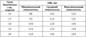 Ож беременности по неделям