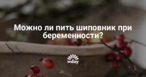 Можно ли при беременности пить чай с шиповником