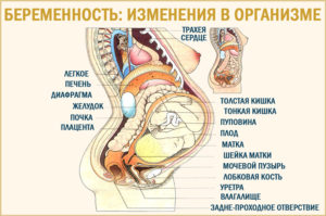 При беременности болит низ живота 38 неделя беременности