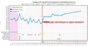 Может ли быть овуляция два раза за месяц