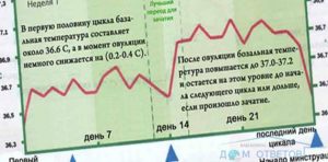 Ппа в день овуляции