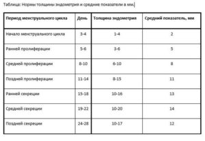 Толщина эндометрия в пременопаузе