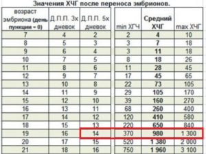 Хгч после переноса 5 дневок на 14 день