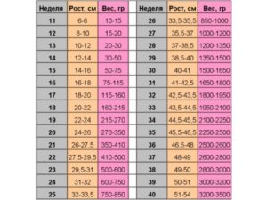 Сколько должен весить плод в 35 недель беременности