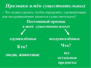 Постоянные признаки слова стоявшей. Постоянные морфологические признаки существительных. Имя существительное постоянные признаки и непостоянные признаки. Непостоянные морфологические признаки имени существительного. Постоянный морфологический признак существительного.