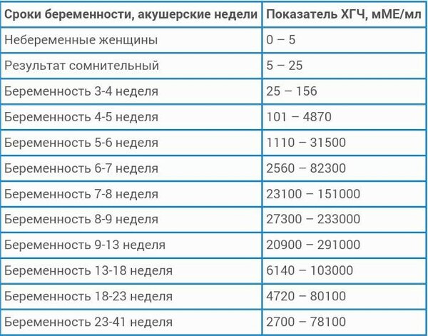 3 неделя беременности хгч