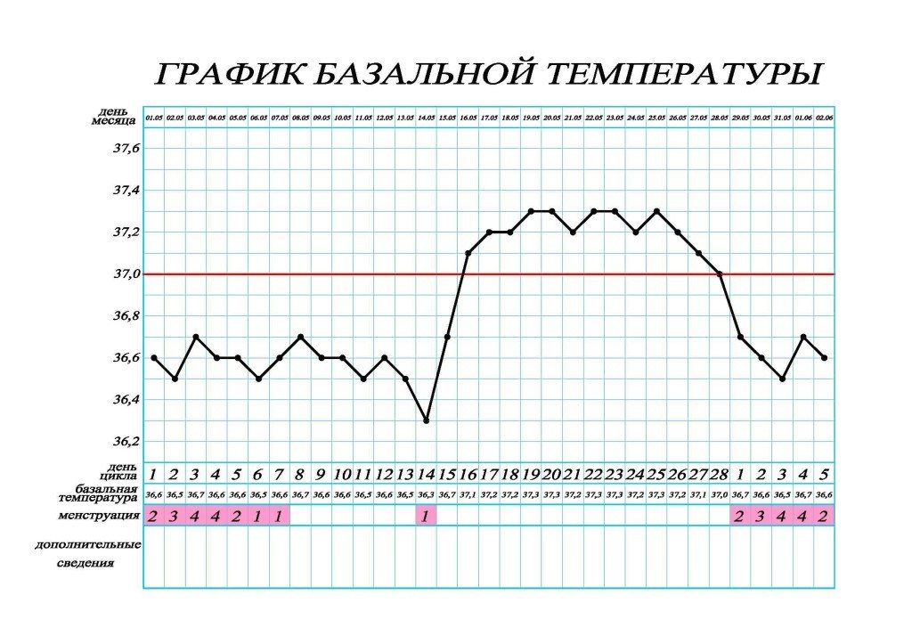 Базальная температура при беременности во время месячных