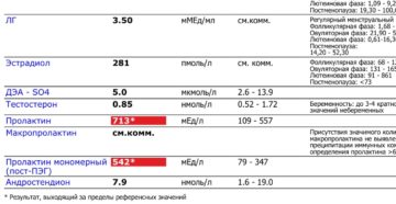 За что отвечает гормон андростендион у женщин