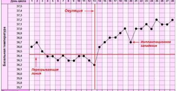 Базальная температура после зачатия в первые дни