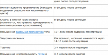 Беременность и месячные в первый месяц беременности форум