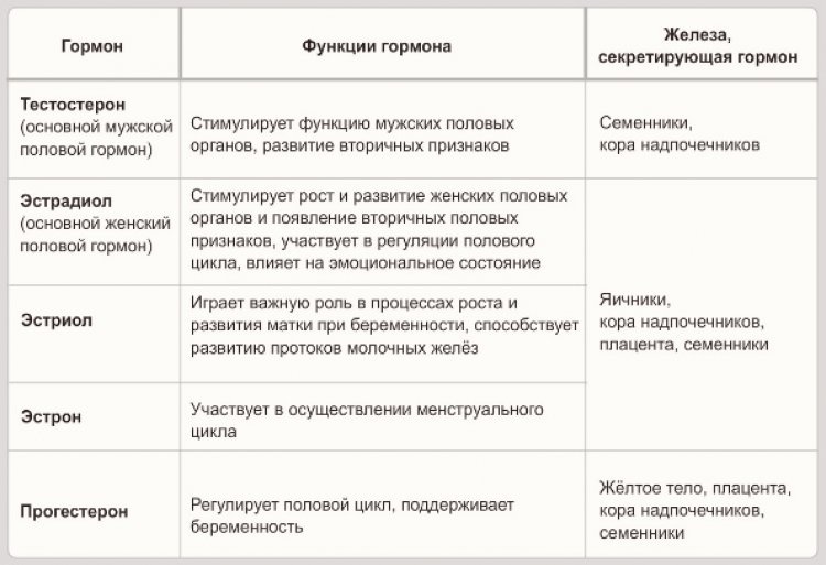 Гормоны в женском организме и их роль