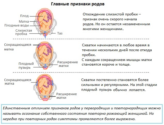 Какие ощущения когда начинаются схватки у первородящих