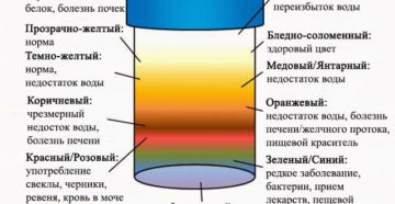 Моча желто оранжевого цвета