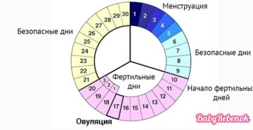 Начались месячные после овуляции