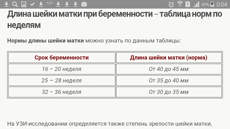 Норма длины шейки матки на 33 неделе беременности