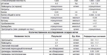 Сколько у беременных должно быть лейкоцитов в моче