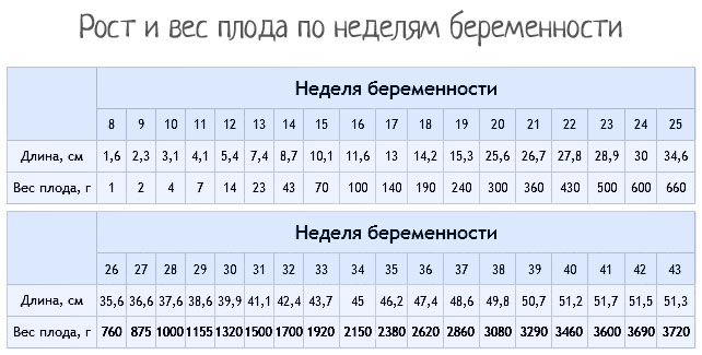 Сколько весит плод в 33 недели