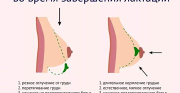 После кормления груди разные