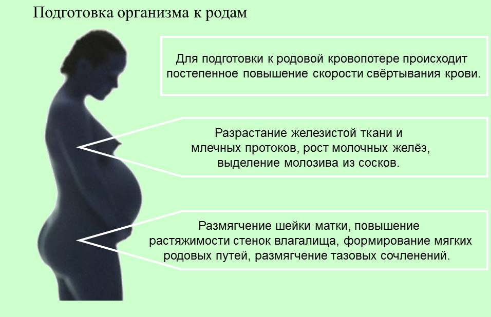 Знаки перед родами