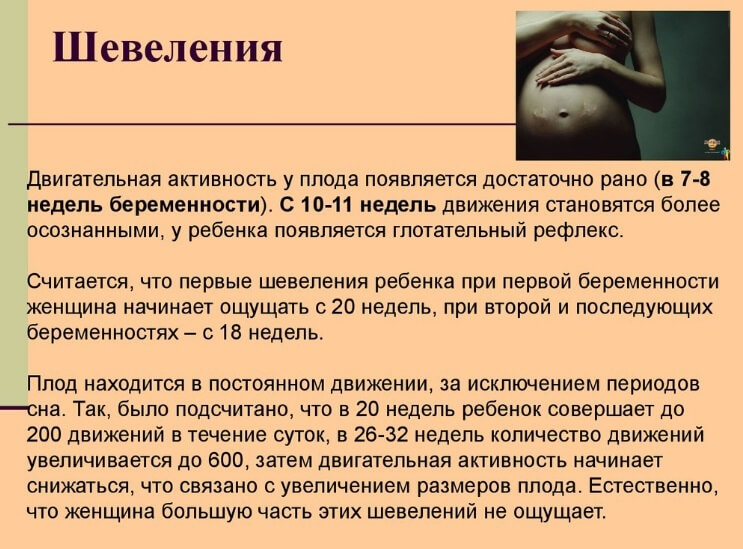 Нет шевелений 18 недель